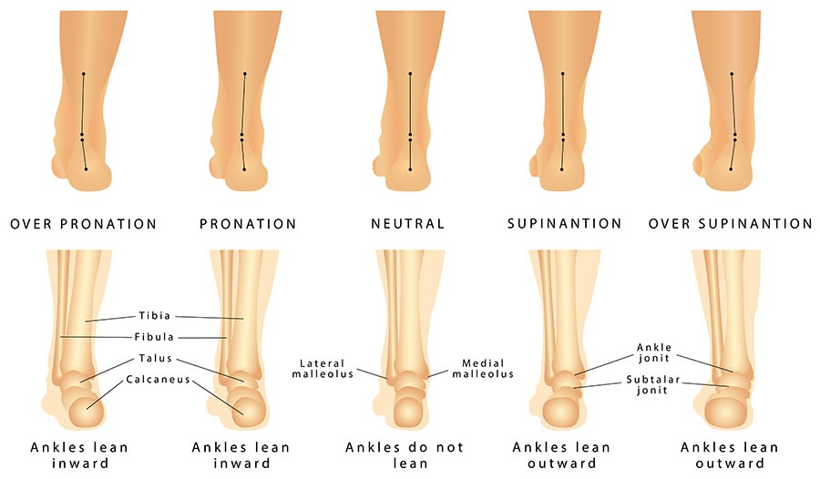 Pronation supination view